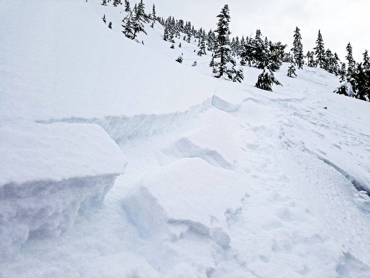 Levels of Avalanche Courses Avalanche Awareness